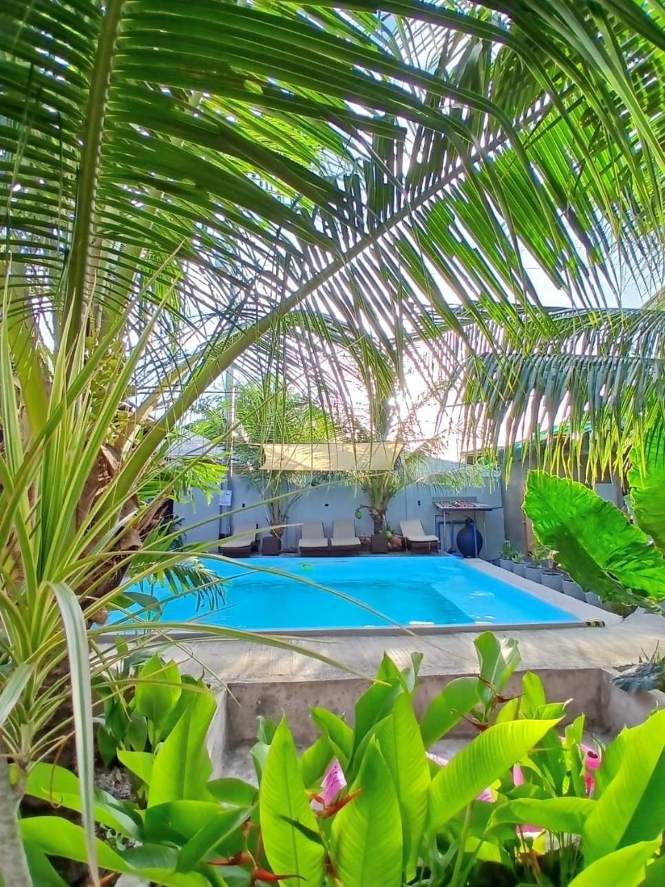 Ananas Guesthouse Moalboal Eksteriør bilde