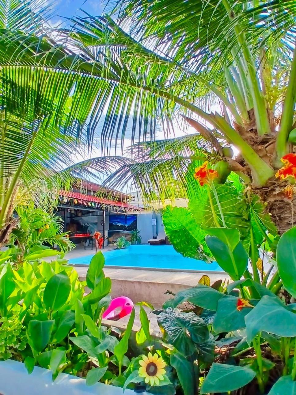 Ananas Guesthouse Moalboal Eksteriør bilde